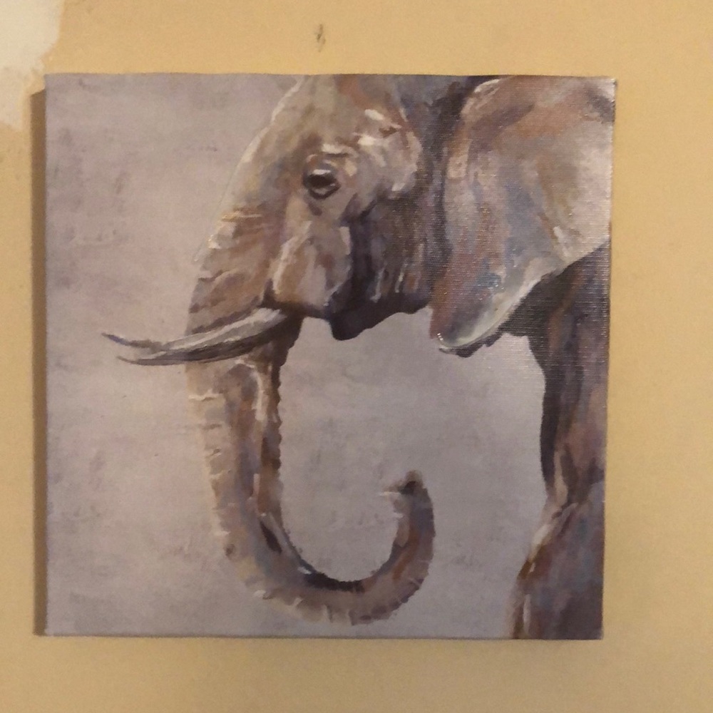 Canvas decorative elephant picture